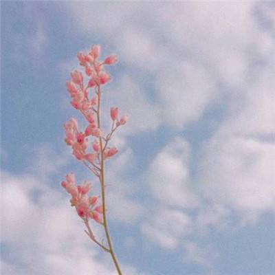 足球竞彩app下载手机版