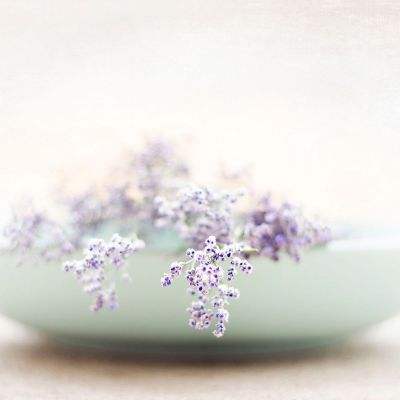 AG官方平台下载地址app下载